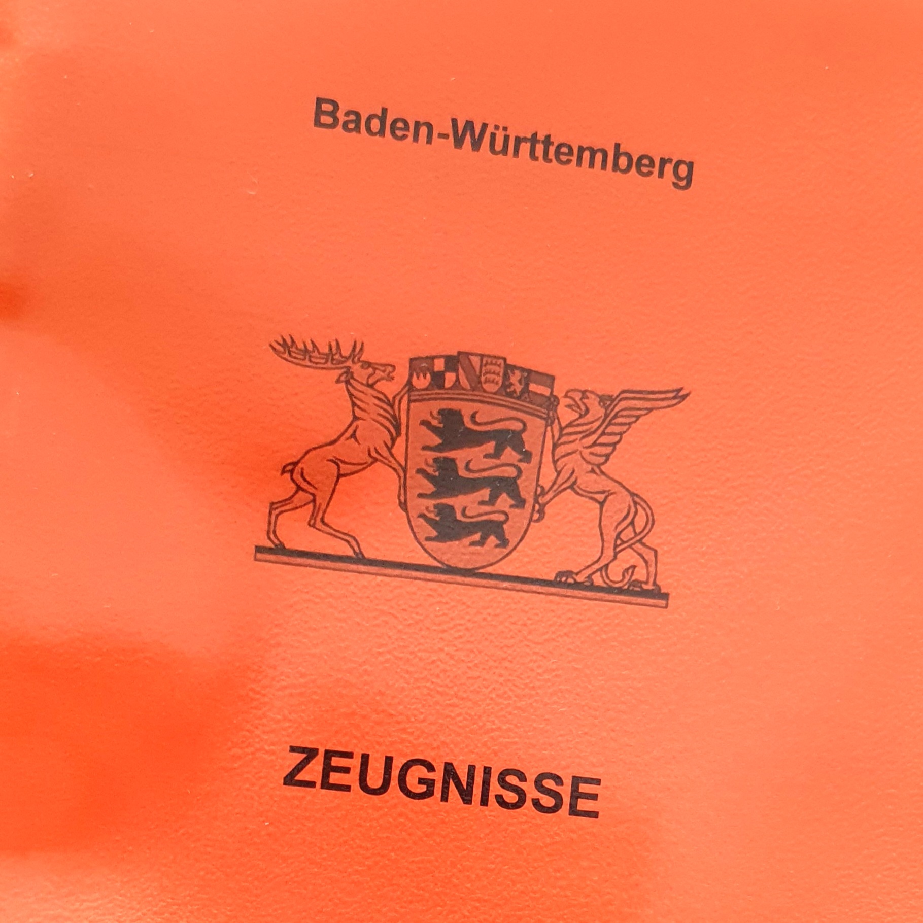 Mehr über den Artikel erfahren Wie viel von Deinem Kind steckt in seinem Zeugnis?